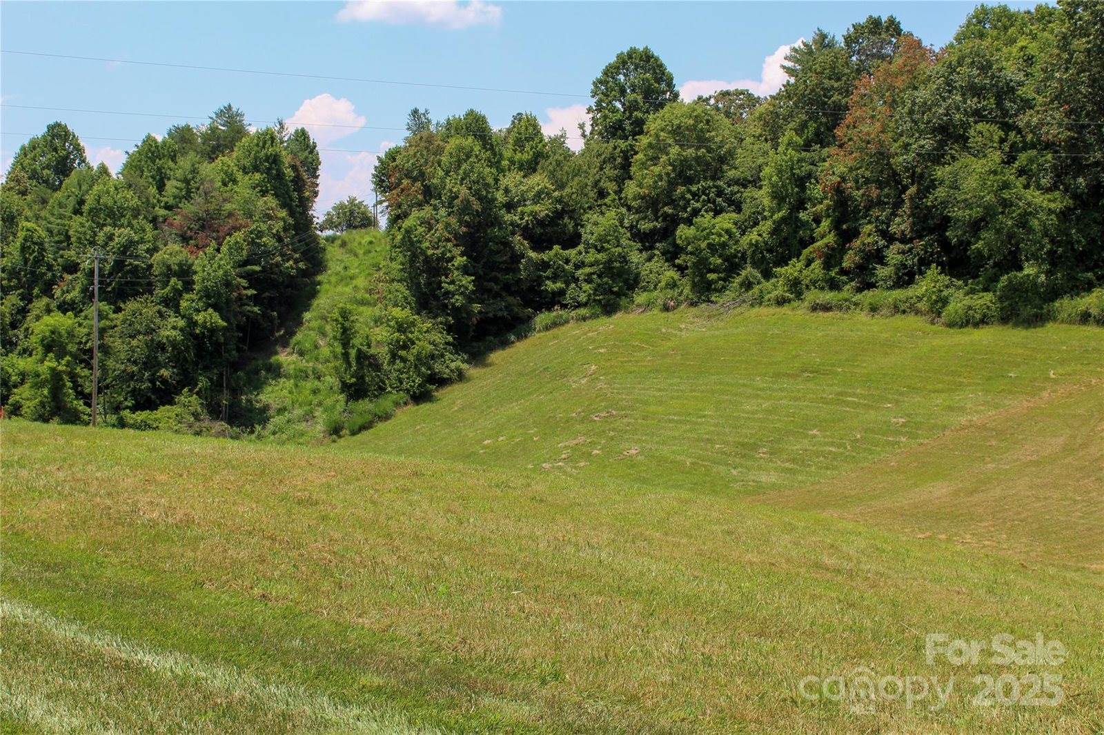 9999 Settlers Trail, Mars Hill, NC 28754