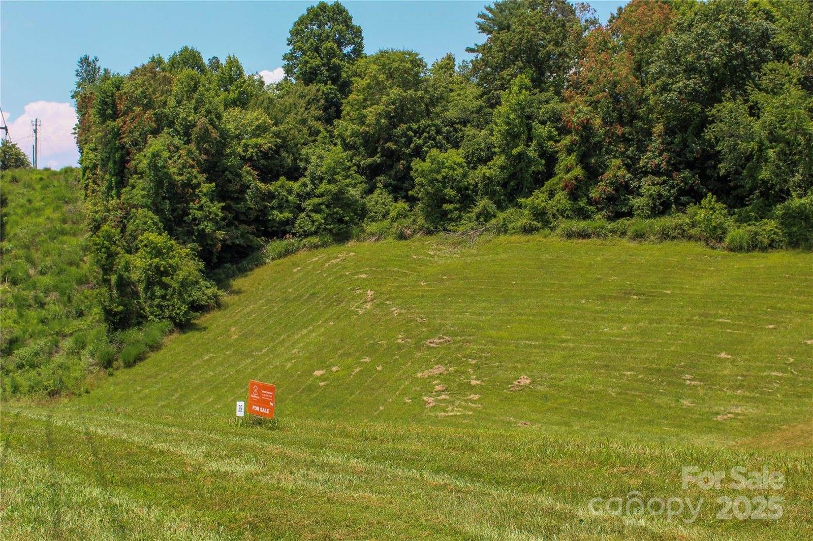 9999 Settlers Trail, Mars Hill, NC 28754