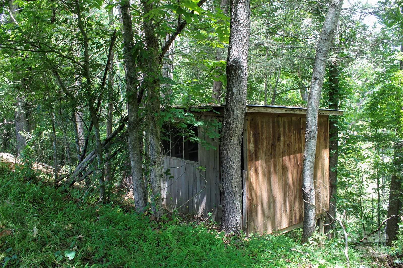 9999 Settlers Trail, Mars Hill, NC 28754