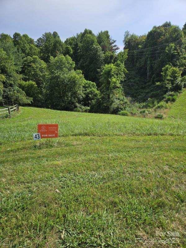 9999 Settlers Trail, Mars Hill, NC 28754