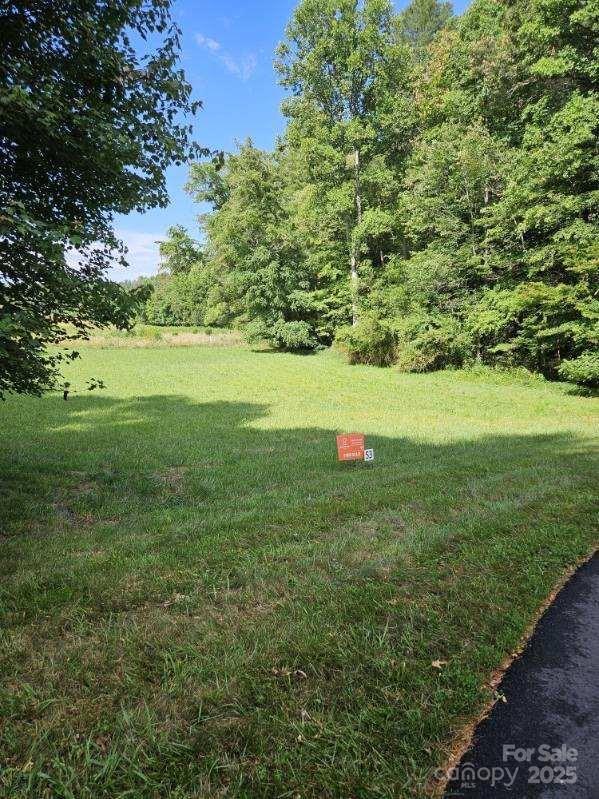 9999 Settlers Trail, Mars Hill, NC 28754