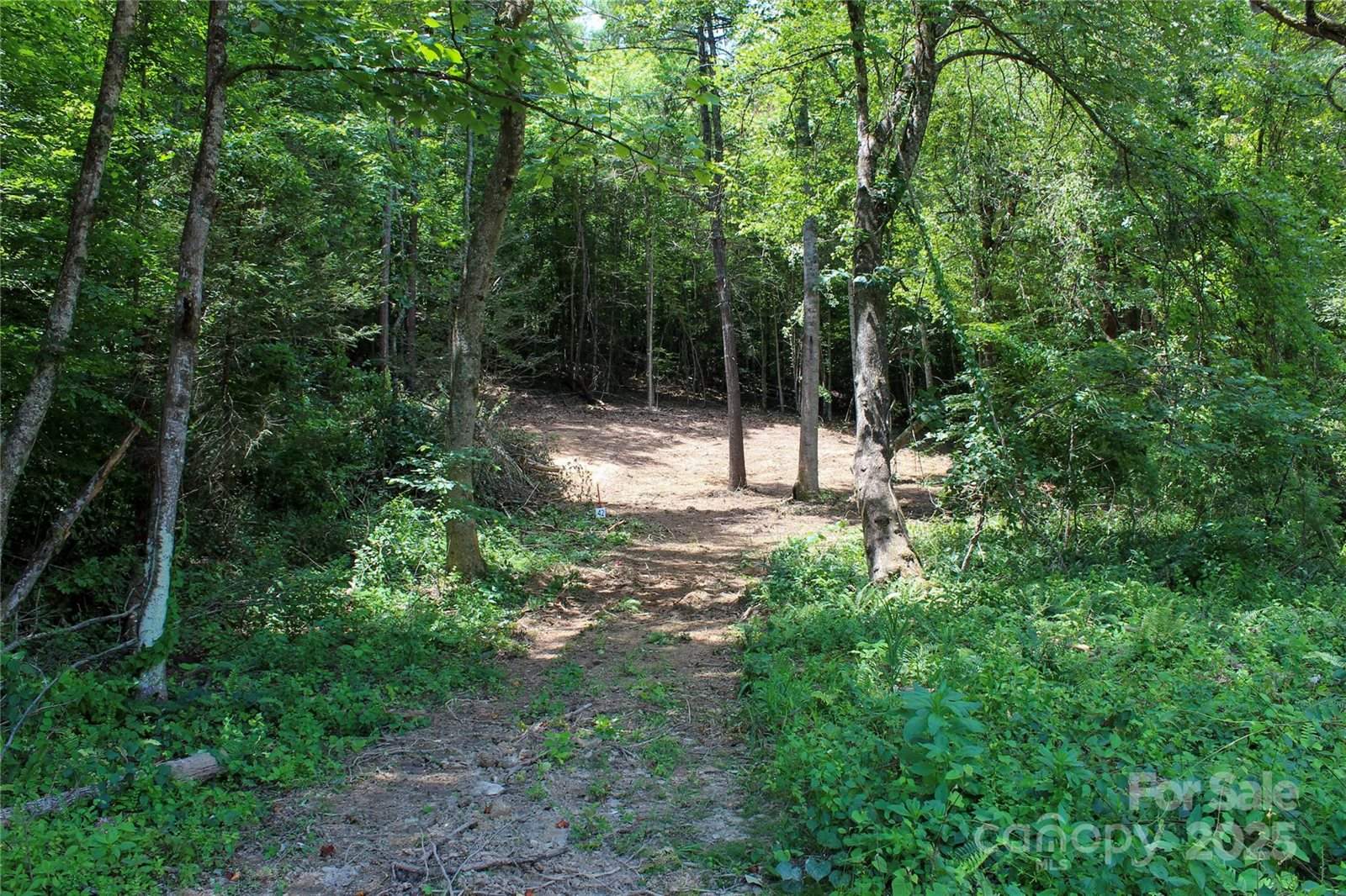 9999 Gabriels Creek Road, #42, Mars Hill, NC 28754