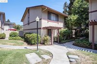 1563 Parkwood Pl, Concord, CA 94521