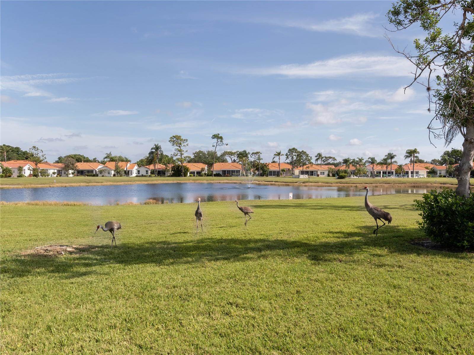 4831 Summertree Road, Venice, FL 34293