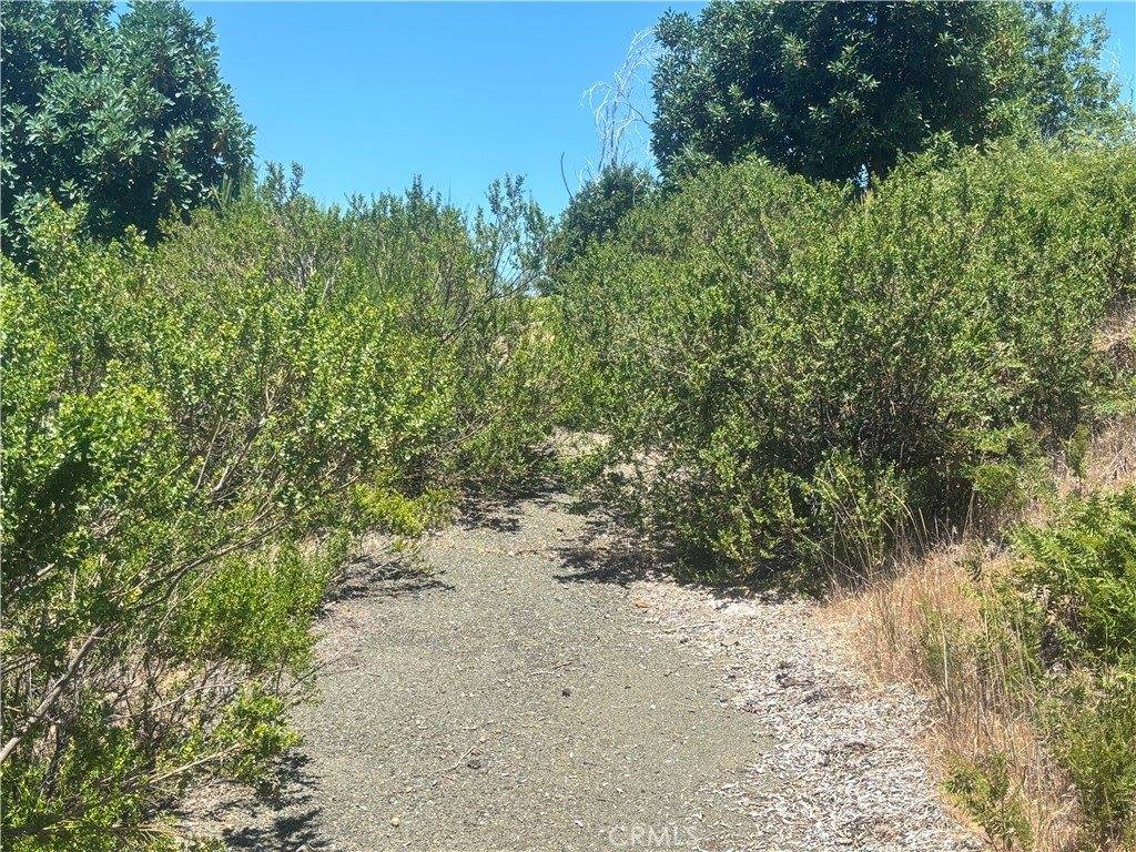 15350 Evergreen Drive, Cobb, CA 95426