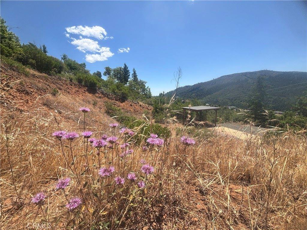 15350 Evergreen Drive, Cobb, CA 95426