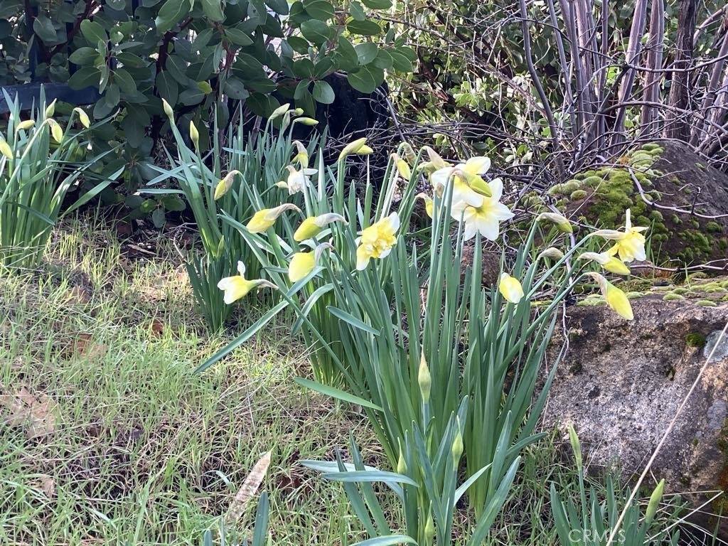 15350 Evergreen Drive, Cobb, CA 95426