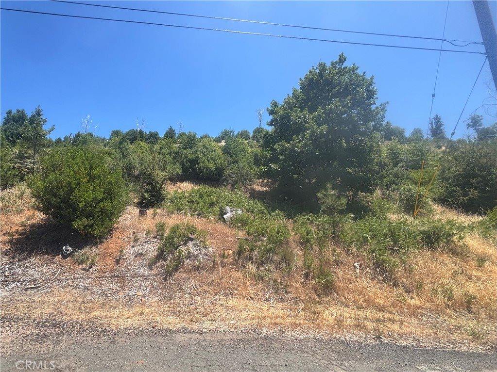 15350 Evergreen Drive, Cobb, CA 95426