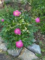 1057 Great Creek Drive, Bracey, VA 23919