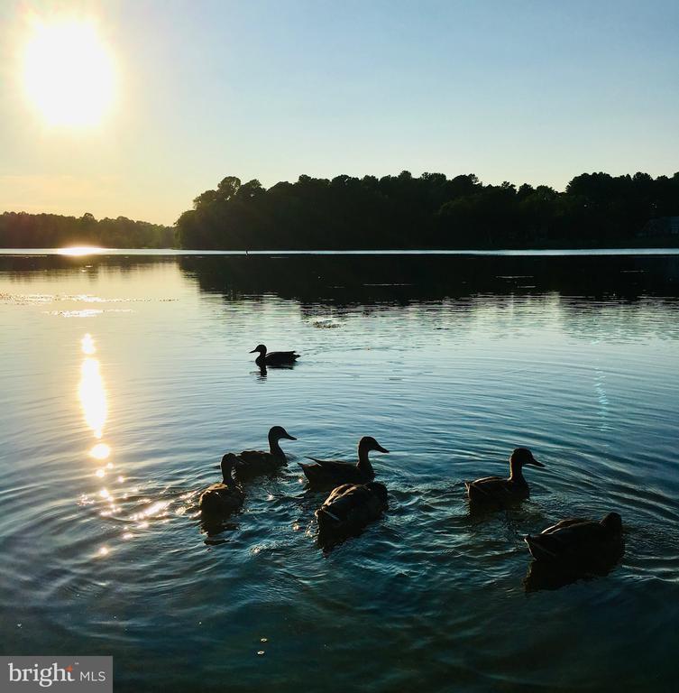 23157 Huff Road, Milton, DE 19968