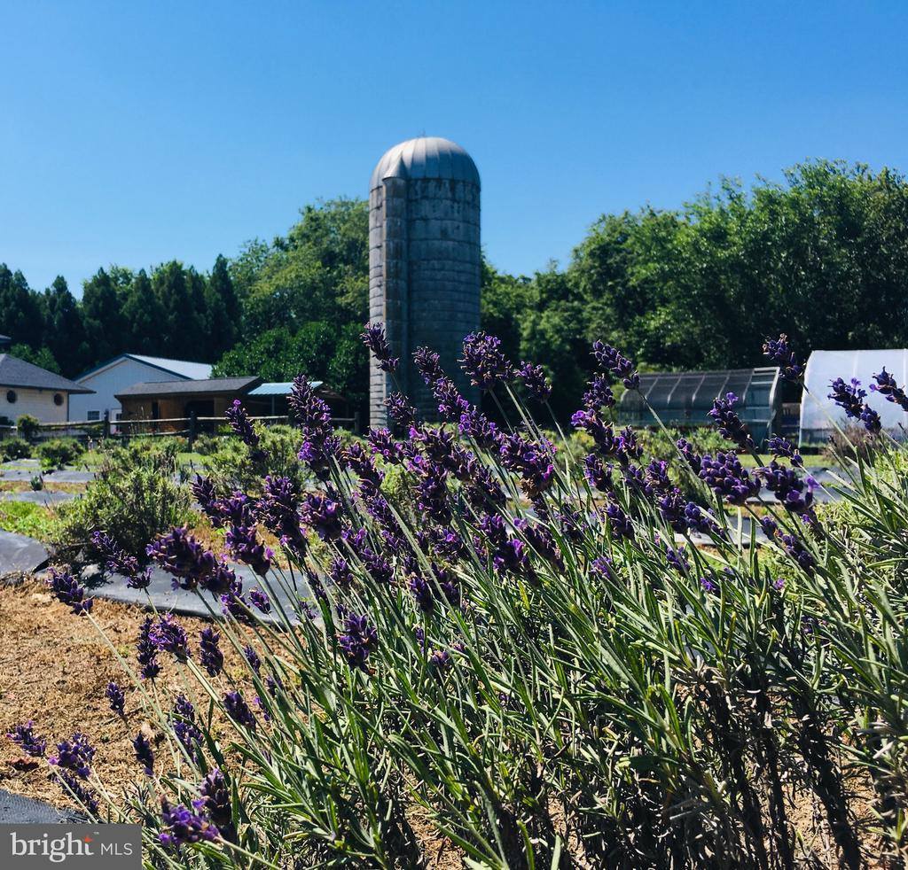 23157 Huff Road, Milton, DE 19968