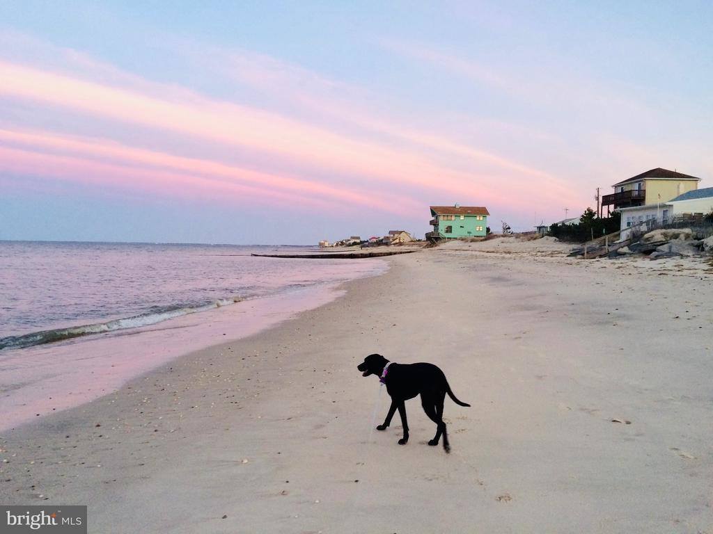 23157 Huff Road, Milton, DE 19968