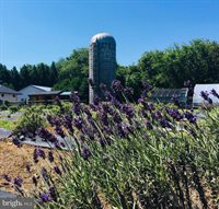 23157 Huff Road, Milton, DE 19968