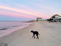 23157 Huff Road, Milton, DE 19968