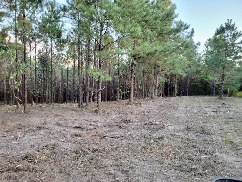 TBD Woods Rd, Leesville, LA 71446