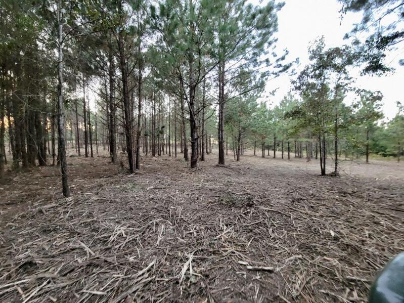 TBD Woods Rd, Leesville, LA 71446