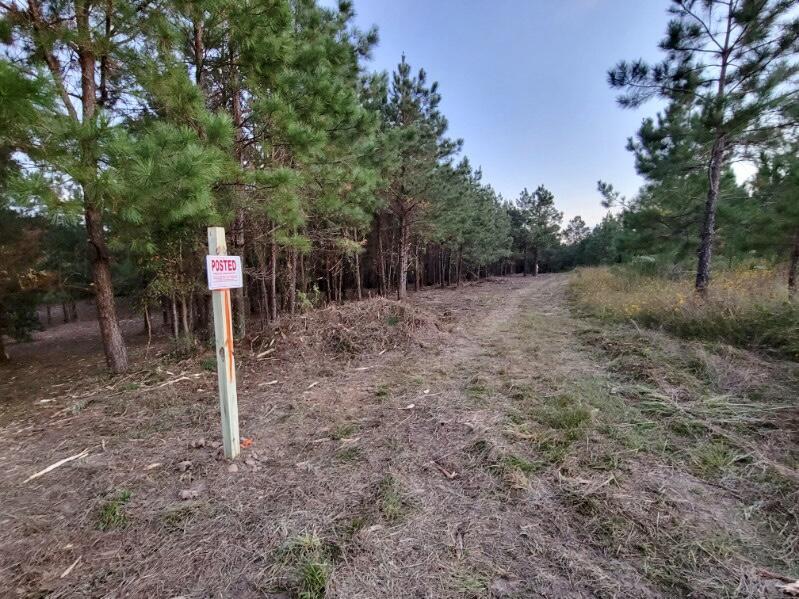 TBD Woods Rd, Leesville, LA 71446