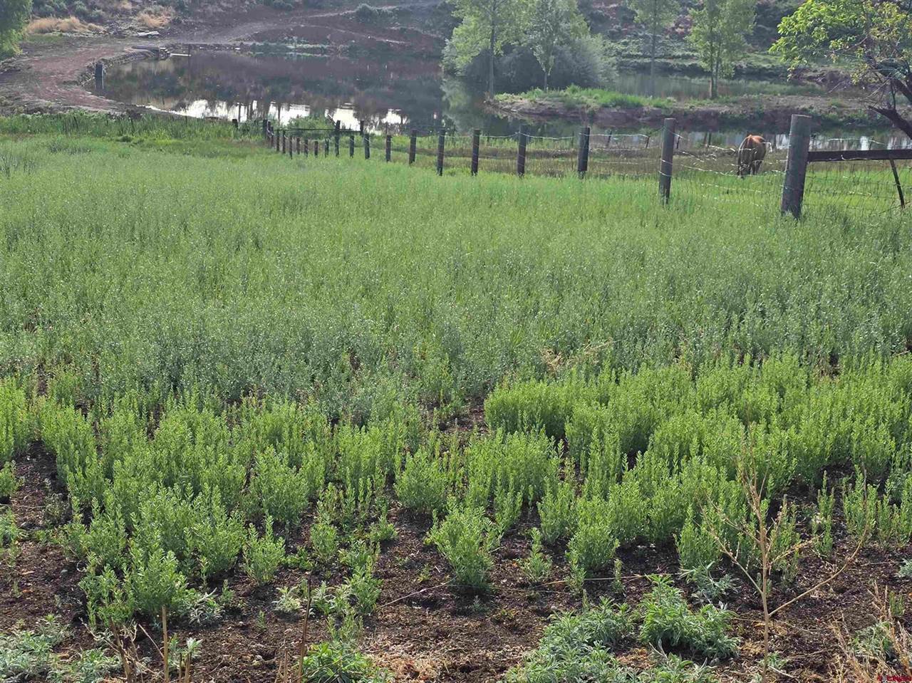 62592 North Star Drive, Montrose, CO 81403