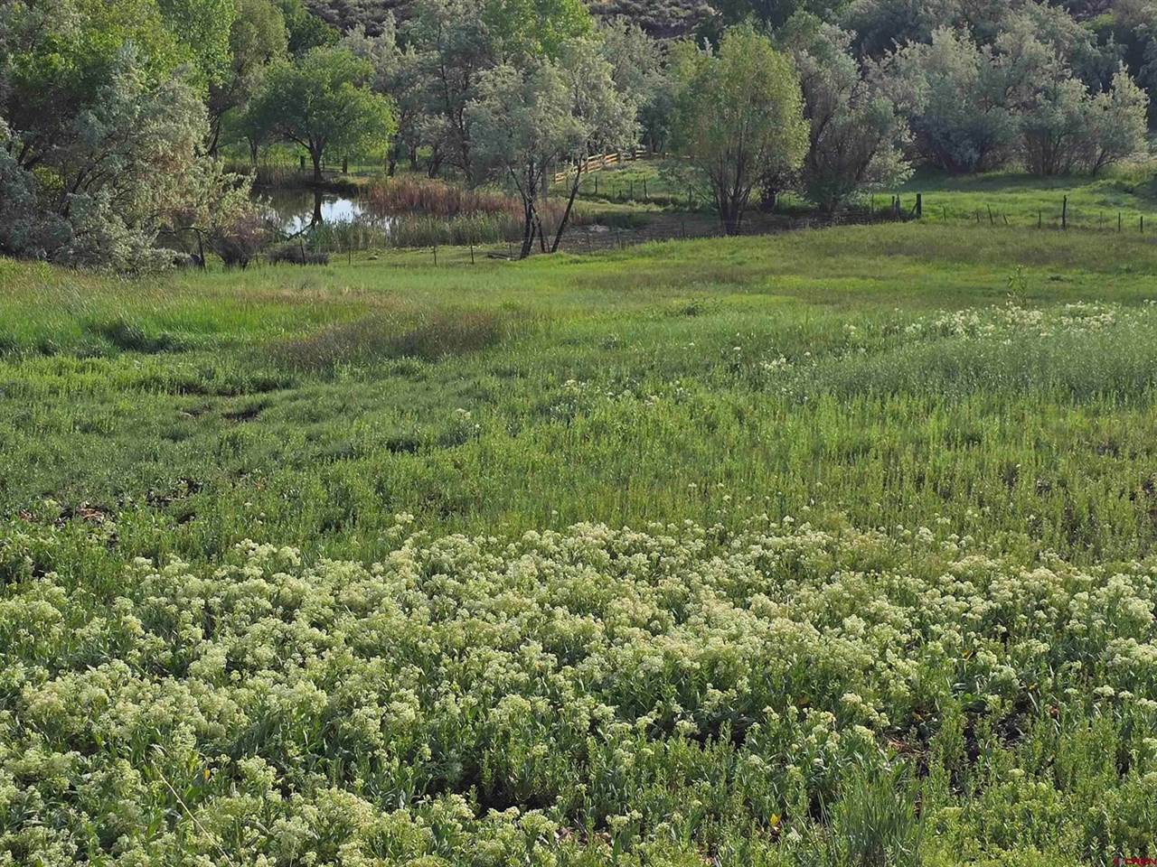 62592 North Star Drive, Montrose, CO 81403