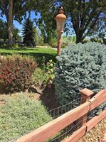 62592 North Star Drive, Montrose, CO 81403