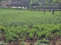 62592 North Star Drive, Montrose, CO 81403