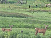 62592 North Star Drive, Montrose, CO 81403