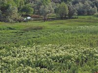 62592 North Star Drive, Montrose, CO 81403