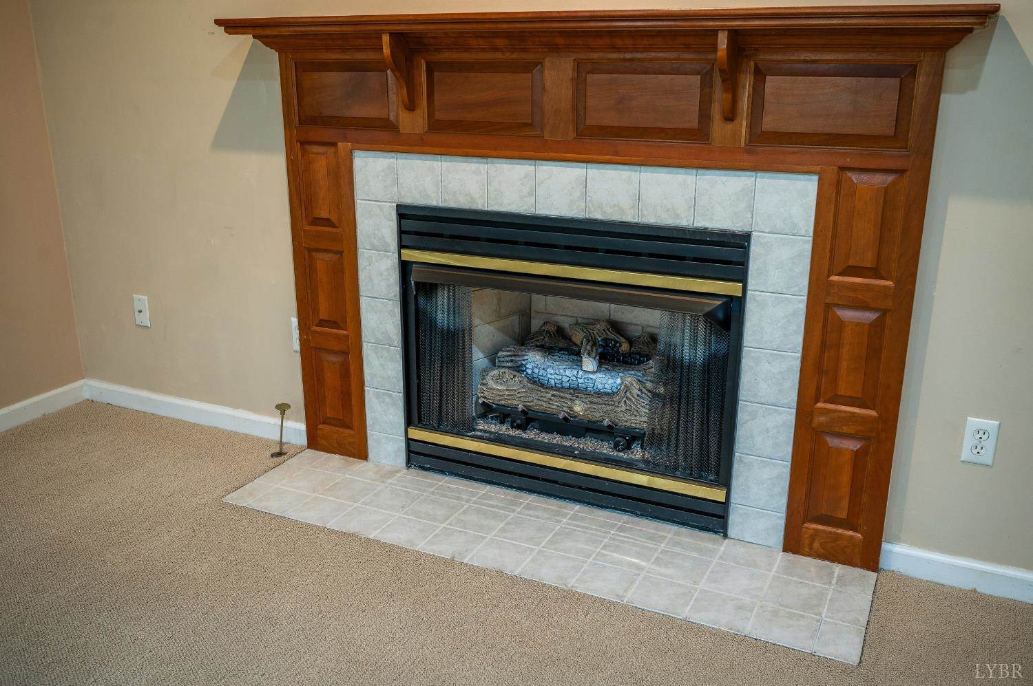 1065 Mistwood Place, Forest, VA 24551