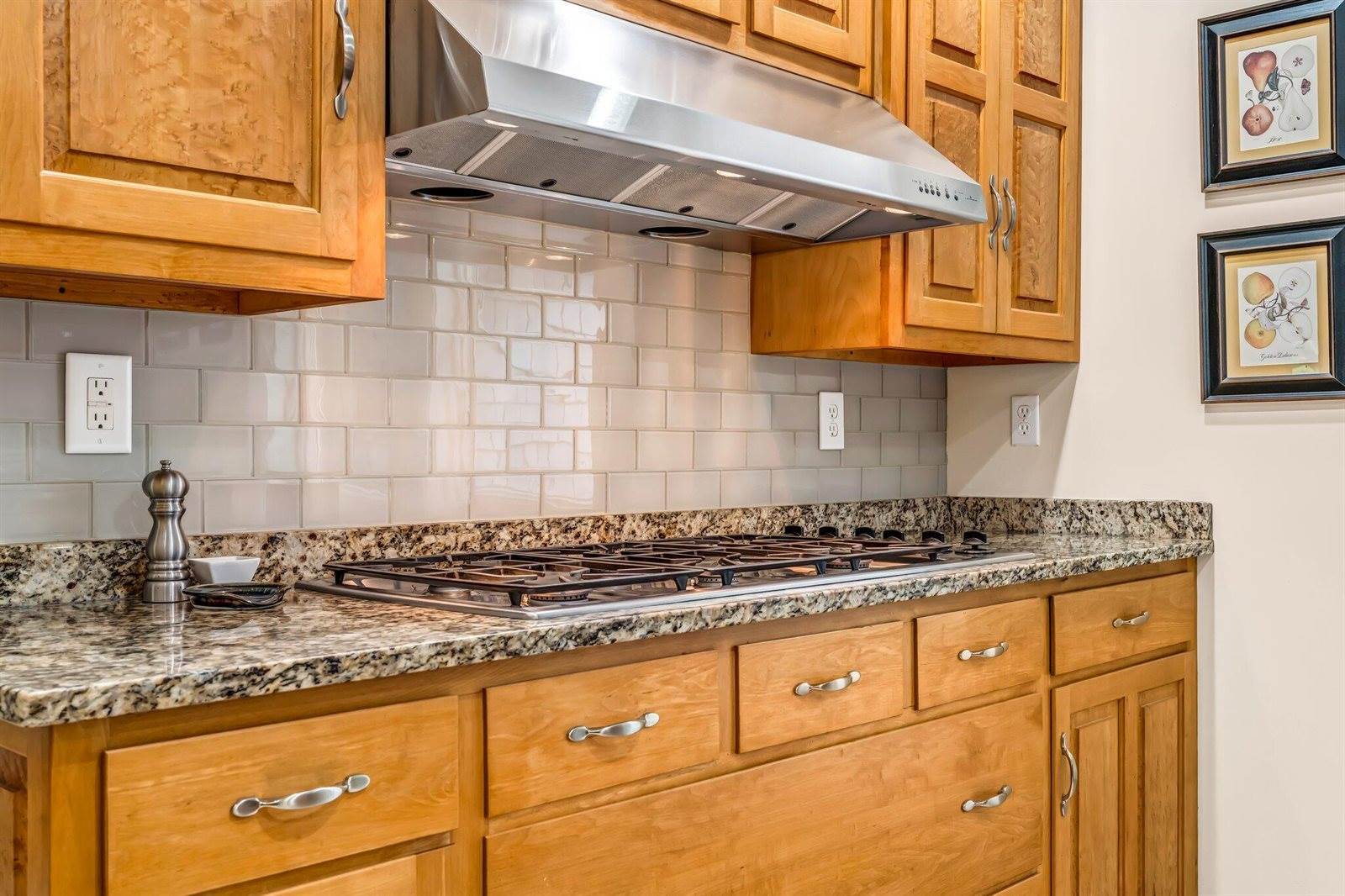 1309 Great Moose Drive, Hartland, ME 04943