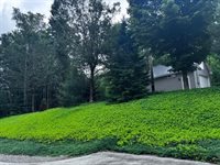 1309 Great Moose Drive, Hartland, ME 04943