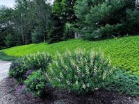 1309 Great Moose Drive, Hartland, ME 04943