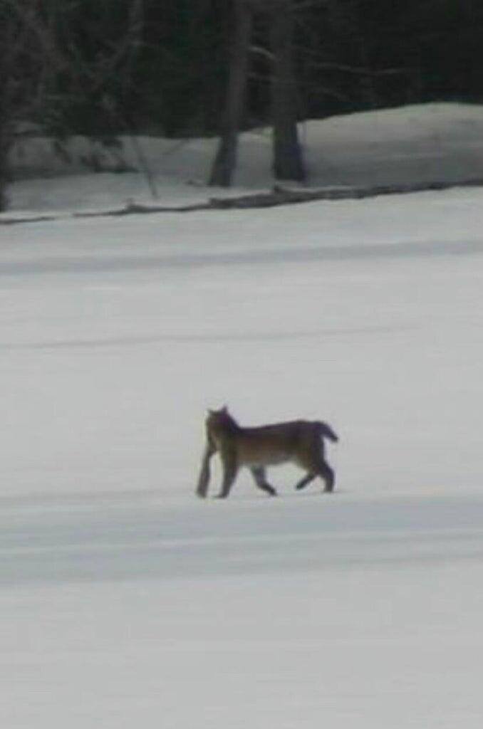 3 Merrill Brook Lane, Howland, ME 04448