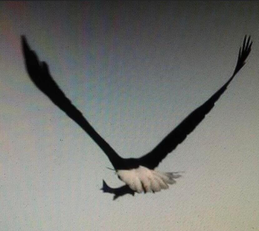 3 Merrill Brook Lane, Howland, ME 04448