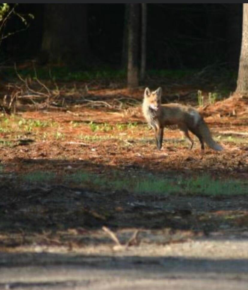 3 Merrill Brook Lane, Howland, ME 04448