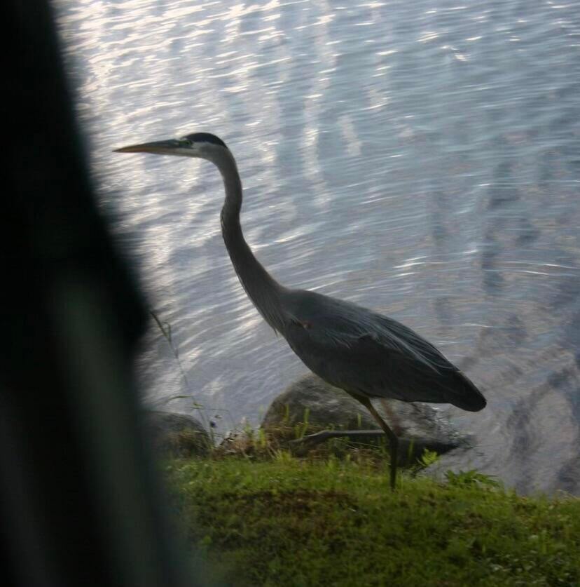 3 Merrill Brook Lane, Howland, ME 04448