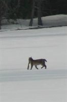 3 Merrill Brook Lane, Howland, ME 04448