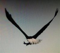 3 Merrill Brook Lane, Howland, ME 04448