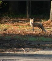 3 Merrill Brook Lane, Howland, ME 04448