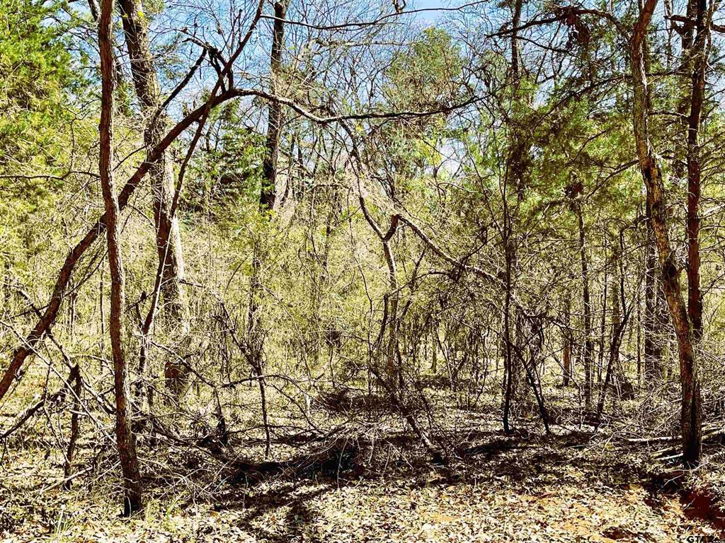 17965 Meandering Way, Flint, TX 75762