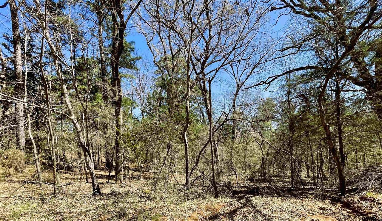 17965 Meandering Way, Flint, TX 75762