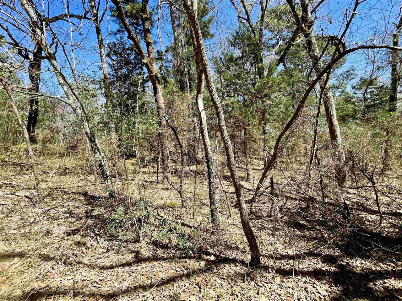 17965 Meandering Way, Flint, TX 75762