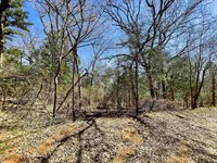 17965 Meandering Way, Flint, TX 75762