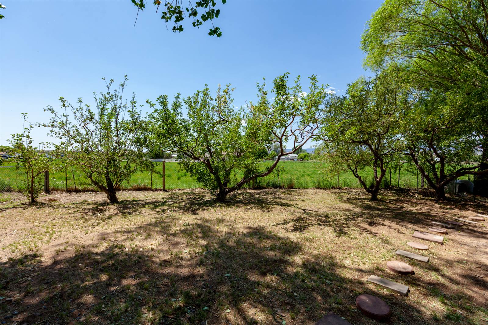 267 31 Road, Grand Junction, CO 81503