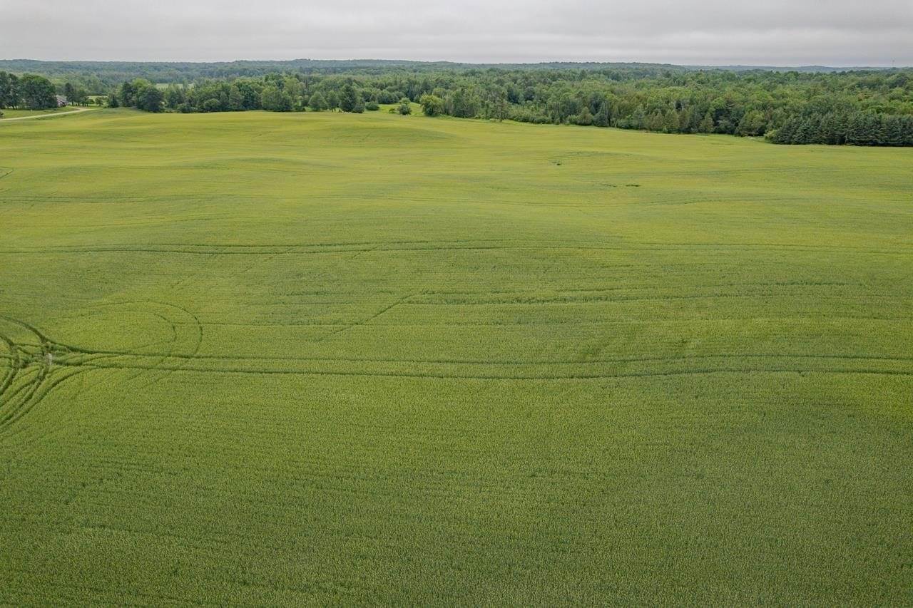 28.73 Acres BLACK WILLOW DRIVE, Eland, WI 54427