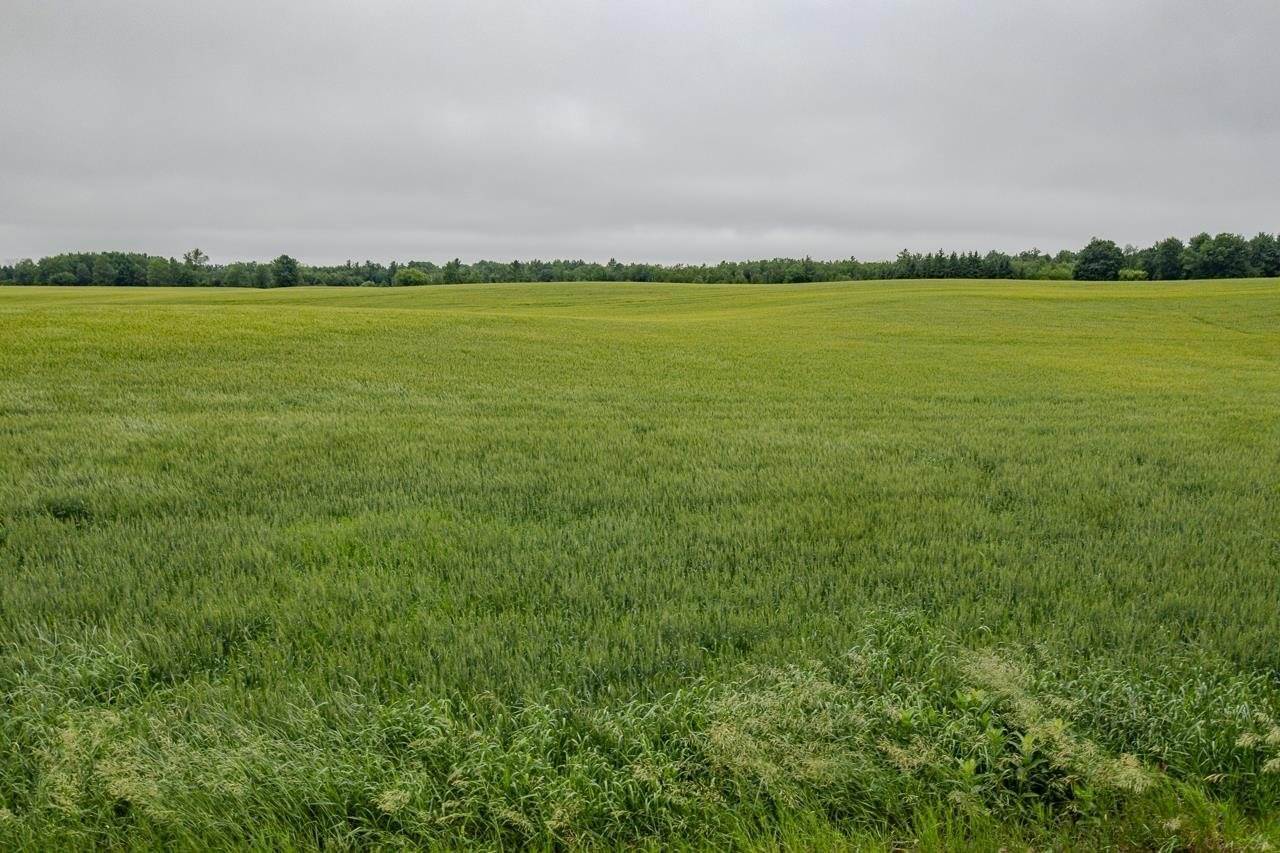 28.73 Acres BLACK WILLOW DRIVE, Eland, WI 54427