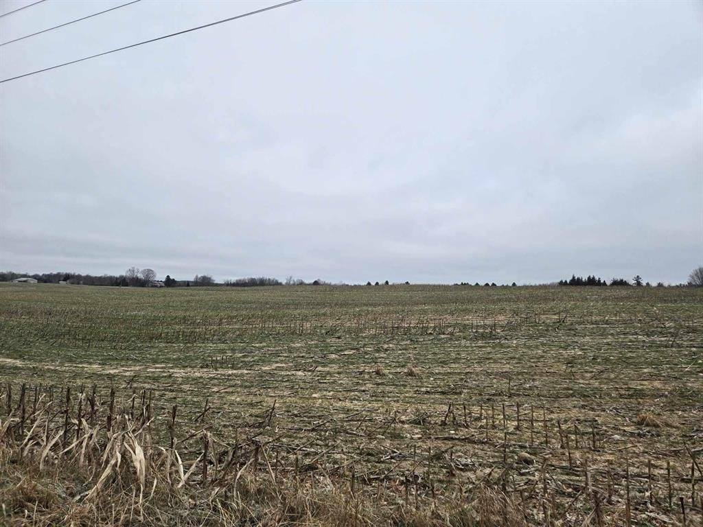 28.73 Acres BLACK WILLOW DRIVE, Eland, WI 54427