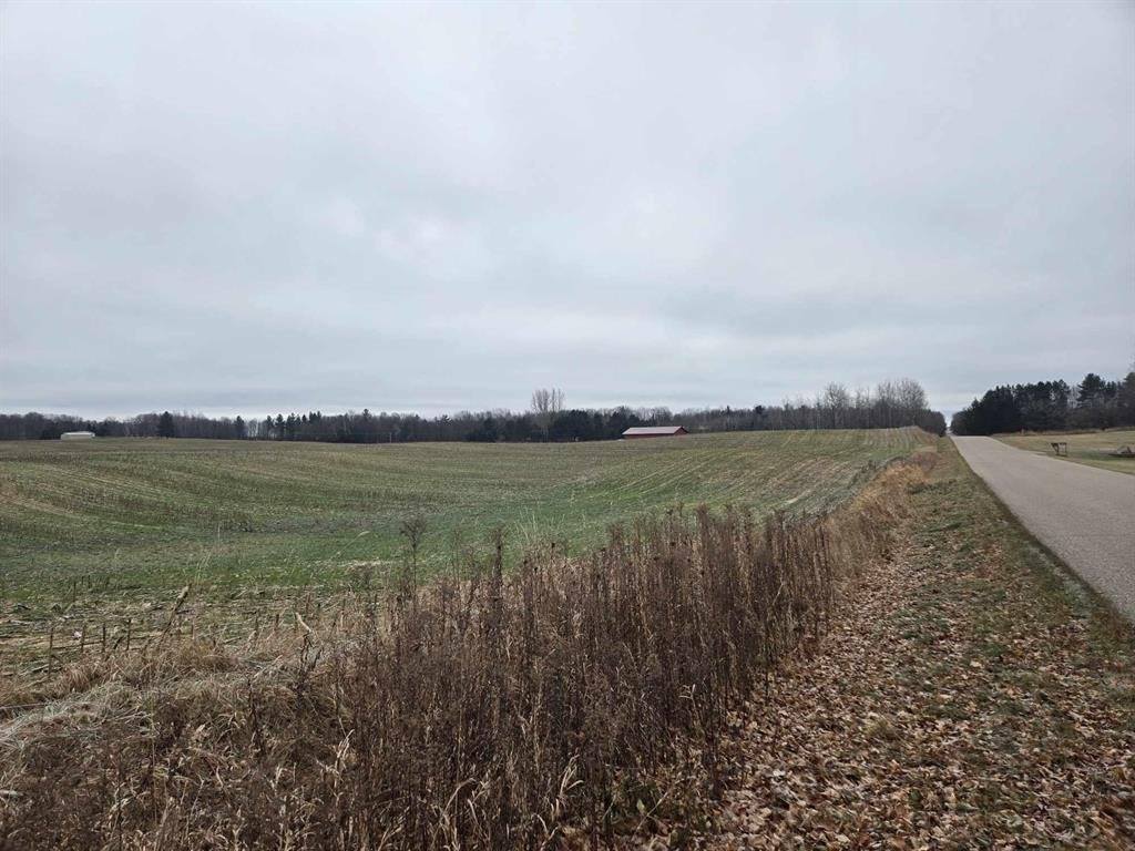 28.73 Acres BLACK WILLOW DRIVE, Eland, WI 54427