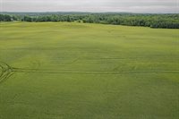 28.73 Acres BLACK WILLOW DRIVE, Eland, WI 54427