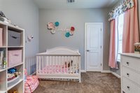 9128 Sycamore Leaf Drive, Fort Worth, TX 76179