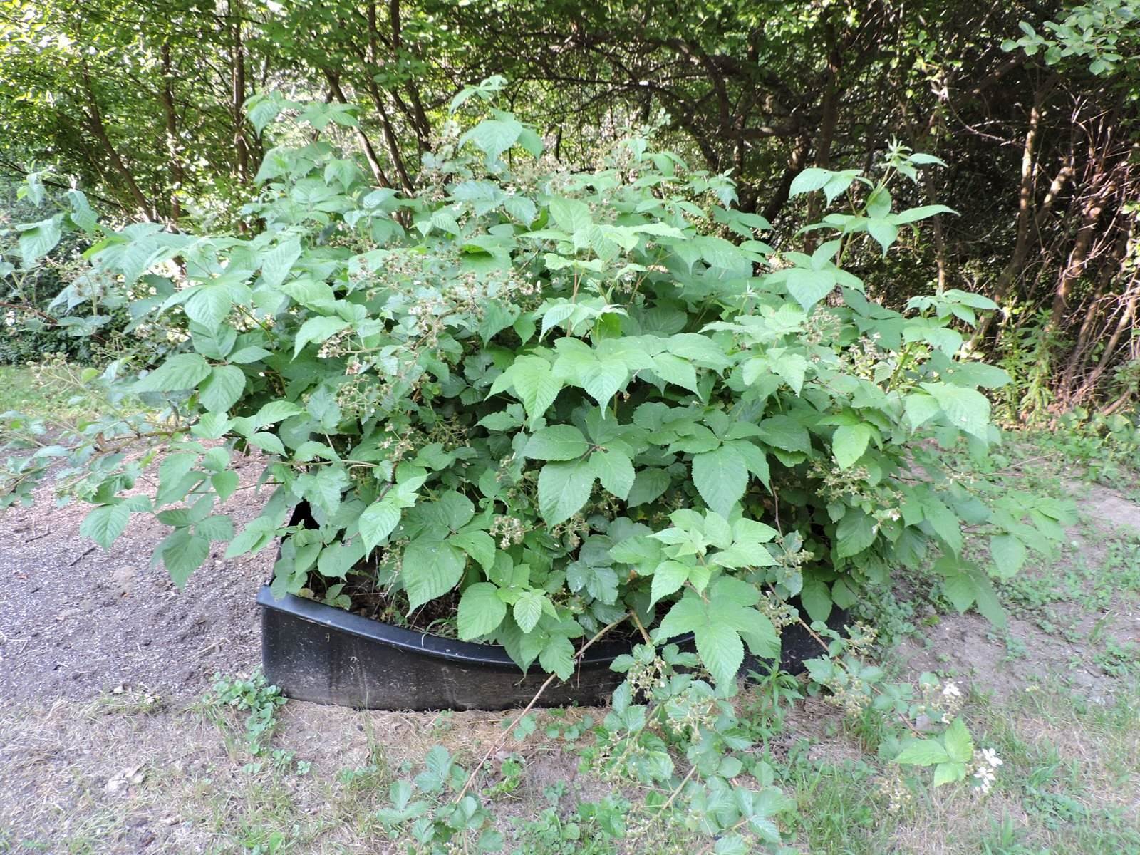 384 Duck Puddle Road, Nobleboro, ME 04555